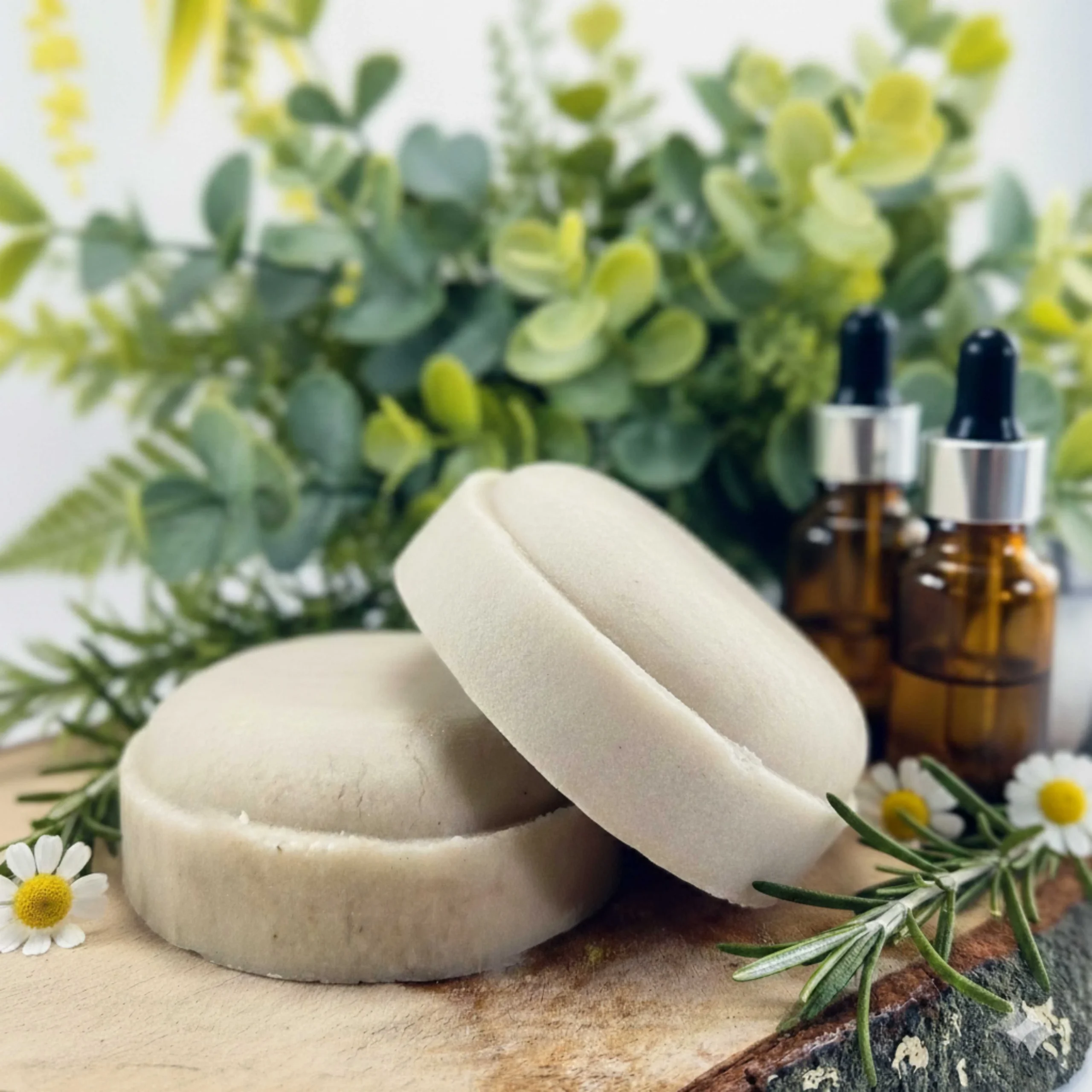 Shampoo avena